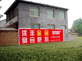 贵阳如何让墙体广告展现最大化效果